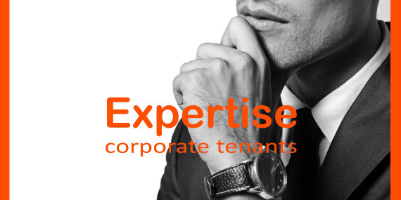 Expertise concept photo